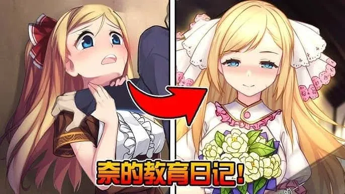 奈的教育日记 奈的教育日记游戏攻略存档指南 封面图
